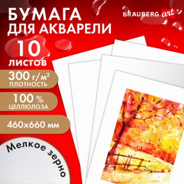 Бумага для акварели 300 г/м2 460x660 мм мелкое зерно, 10 листов, BRAUBERG ART PREMIERE, 113232